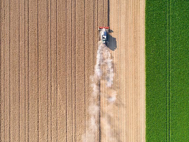 A birds eye view of a colorful farm