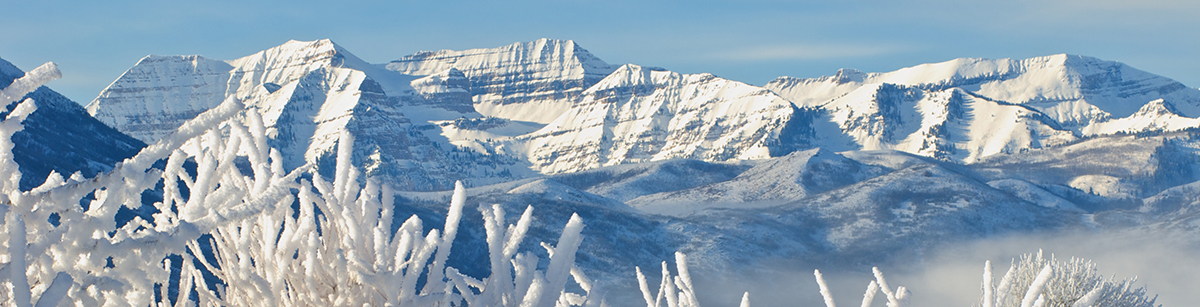 Wasatch mountains with a blanket of snow